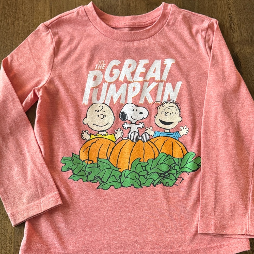 Gray Peanuts Trick or Treat Sweatshirt - Picture 4 of 5